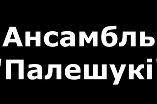 Ансамбл Полешуки - ШИНКАРОЧКА