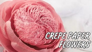 Crepe paper flower - crepe paper peony - giant paper rose - paper flower backdrop