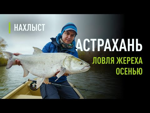 Ловля ЖЕРЕХА осенью. Оснастка для ловли на глубине, рабочие