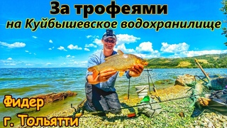 ТРОФЕЙНАЯ РЫБАЛКА НА ФИДЕР/ ЛОВЛЯ КРУПНОГО КАРАСЯ,ЛЕЩА И САЗАНА/ВОЛГА, КУЙБЫШЕВСКОЕ ВДХР./ ЛЕТО 2024