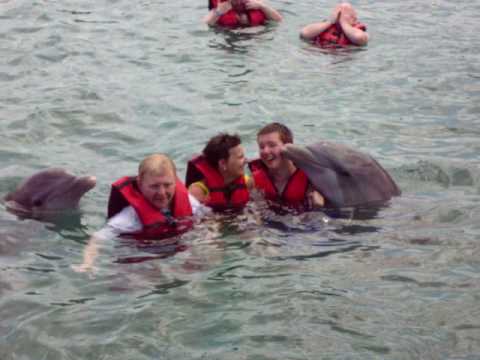 DOLPHIN