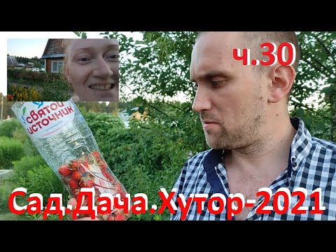 клубнички и малинки. Кузнечиков
