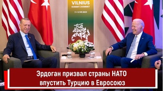 Эрдоган призвал страны НАТО впустить Турцию в Евросоюз