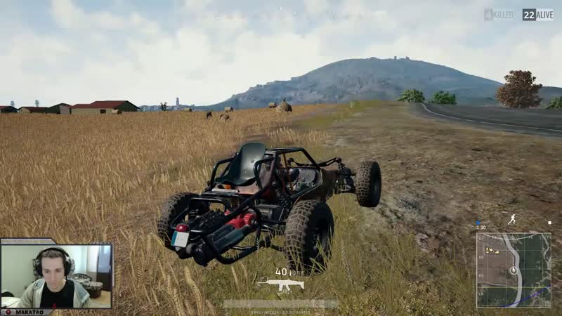 Road kill game (14