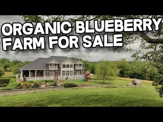 Kentucky Horse Property with Organic Blueberry Farm
