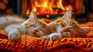 Fireplace Crackling & Cats Purring  Soothing Ambience for Stress-Free Days & Energy Cozy Sounds