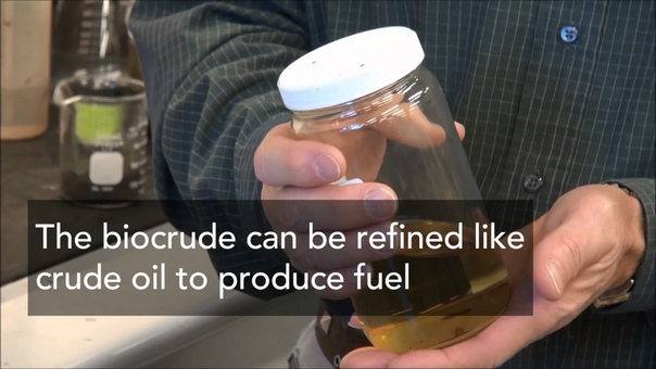 From the Toilet to the Tank Biofuels from