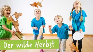 Lied: Der wilde Herbst