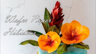 Wafer Paper Hibiscus