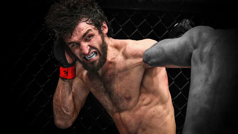 GREATEST FIGHTERS Who Never Won UFC