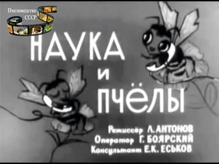 Наука и пчелы. Пчеловодство в СССР