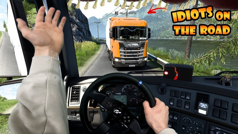 IDIOTS on the road, 84 Idiots CHEATING, Real Hands Funny moments ETS2