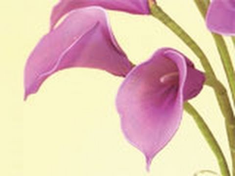 DIY Instruction: How to Make Wedding Flower Calla Lily, Nylon Stocking