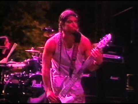 Jerry Cantrell What The Hell Have I ( Live in Charlotte, North