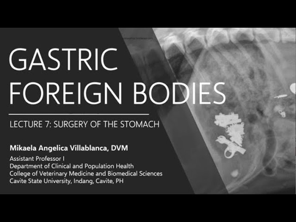 Lecture 7. 6 Gastric Foreign
