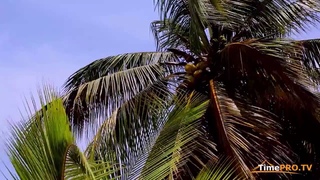 AFRICA  EQUATORIAL GUINEA  ЭКВАТОРИАЛЬНАЯ ГВИНЕЯ  Африка
