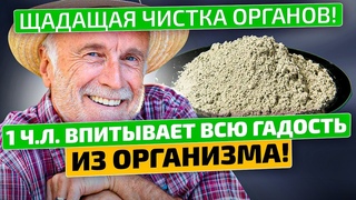 Страдал два года, пока не почистил органы! Очищение организма от токсинов и шлаков