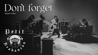 Petit Brabancon Don't forgetMusic Video