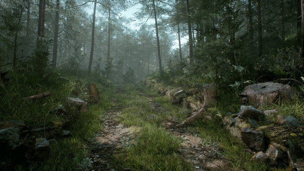 Create a Forest in UE4 in 1