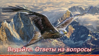 Ответы на вопросы. Чеки. Подкуп. Англосаксы. Армяне. Скрытые лица. Самооборона