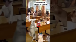 Когда учитель вышел из класса