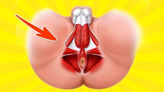 ➜ How to Do Pelvic Floor Exercises for Men ➜ Best 6 Exercises