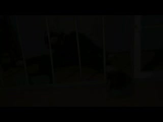 Julian Hock - SawIntro (первый канал)