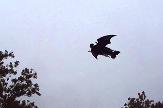Grim Reaper Halloween RC Plane. Front yard flying.