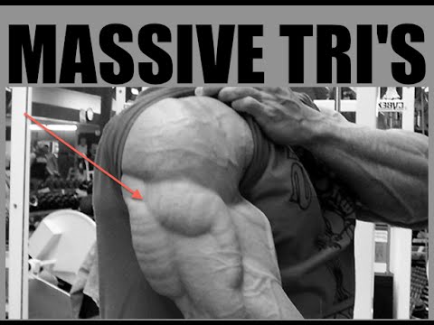 Joe Ds TOP 7 TRICEPS