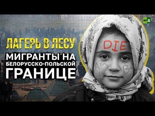 В поисках еды, воды и убежища. Лагере мигрантов на белорусско-польской границе