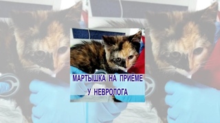 Мартышка на приёме у невролога