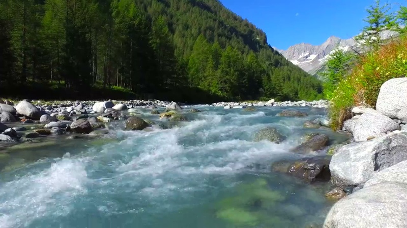 4k Forest Mountain Stream. Flowing Water. Sound of River White Noise for Sleeping, Nature
