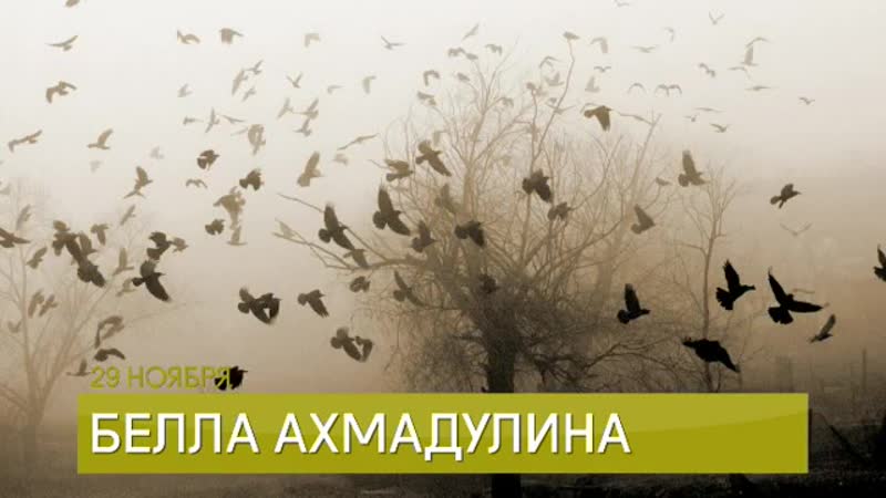 29 ноября в истории