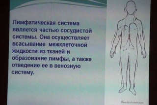 Конф. по висцер.хиропракт.. Лим М. Восст.и актив.лимфатич.и канально-меридианной сист.