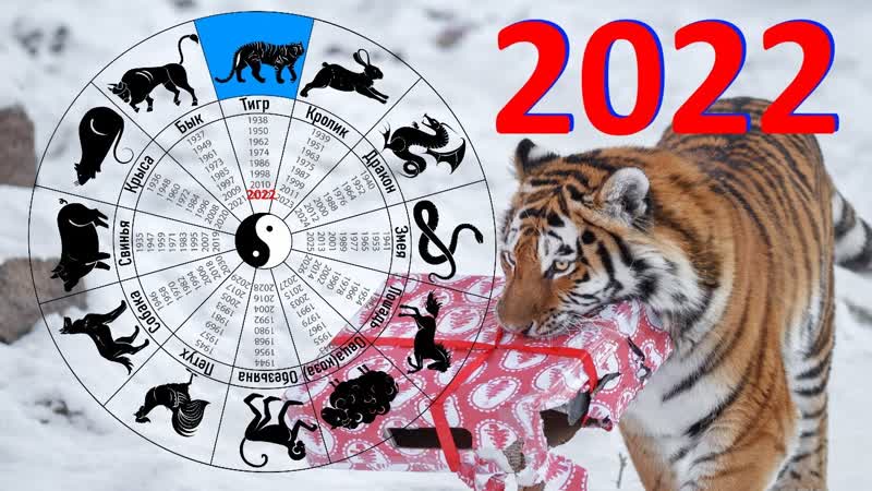 Прогнозы Оракула Шамана Мистика на 2022 год по году Вашего