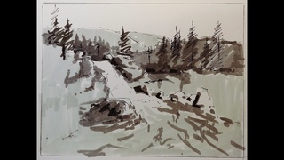Transparent Watercolor Narrated, Step by Step Tutorial Pine Cascade