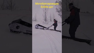 Мотособака БоббиДог модель 2024г для суровых сибирских парней.