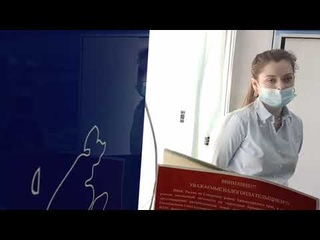 ФЕДЕРАЛЬНАЯ НАЛОГОВАЯ СЛУЖБА / Наталья Рыбкино / ПРОВЕРКА / КУКОЛЬНЫЙ ТЕАТР / СТРАНА КРИВЫХ ЗЕРКАЛ