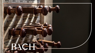 Bach - Prelude and fugue in G major BWV 541 - Winsemius | Netherlands Bach Society