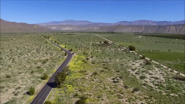 Drone Video Captures View Over Californias Wildflower Super