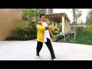 Xie Yongguang - Yiquan Jianwu