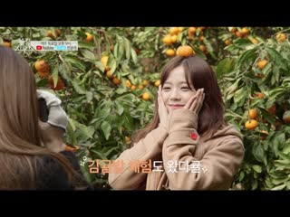 BLACKPINK -  (BLACKPINK HOUSE)  PREVIEW