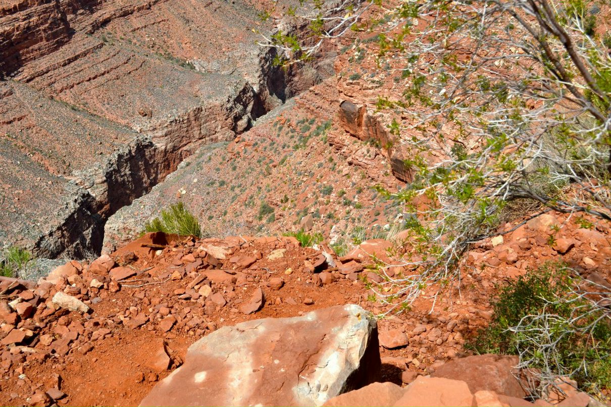 Наталья Корицкая | San Francisco