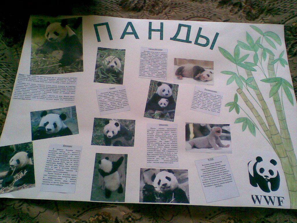 Карина Карпова | Москва