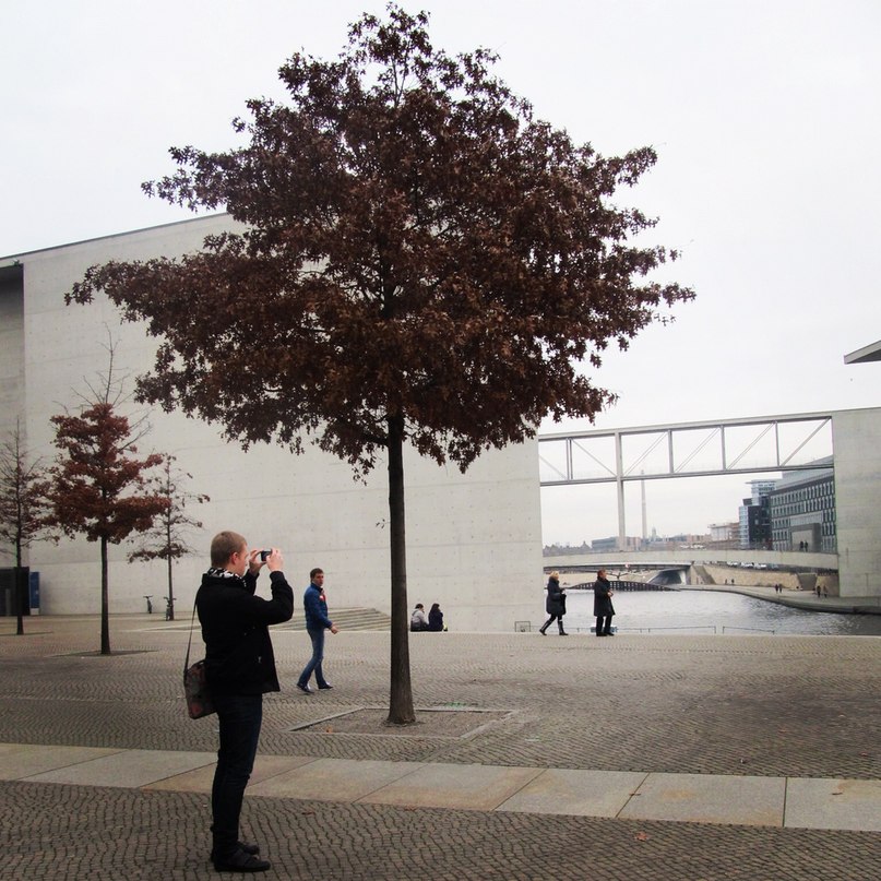 Алексей Дмитриев | Красноярск