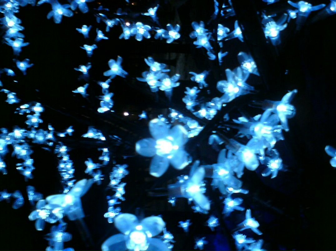 Александра Пискунова Mania | Москва