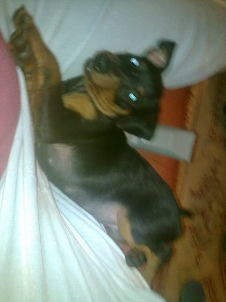 Мария Дмитриева | Санкт-Петербург