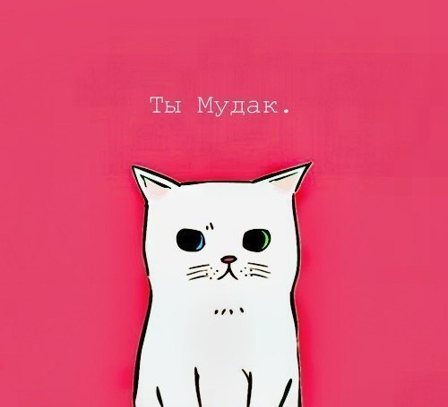 Нюта Горшкова | Омск