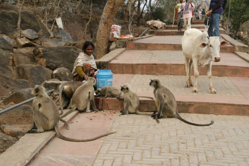 Андрей Белоусов | Санкт-Петербург