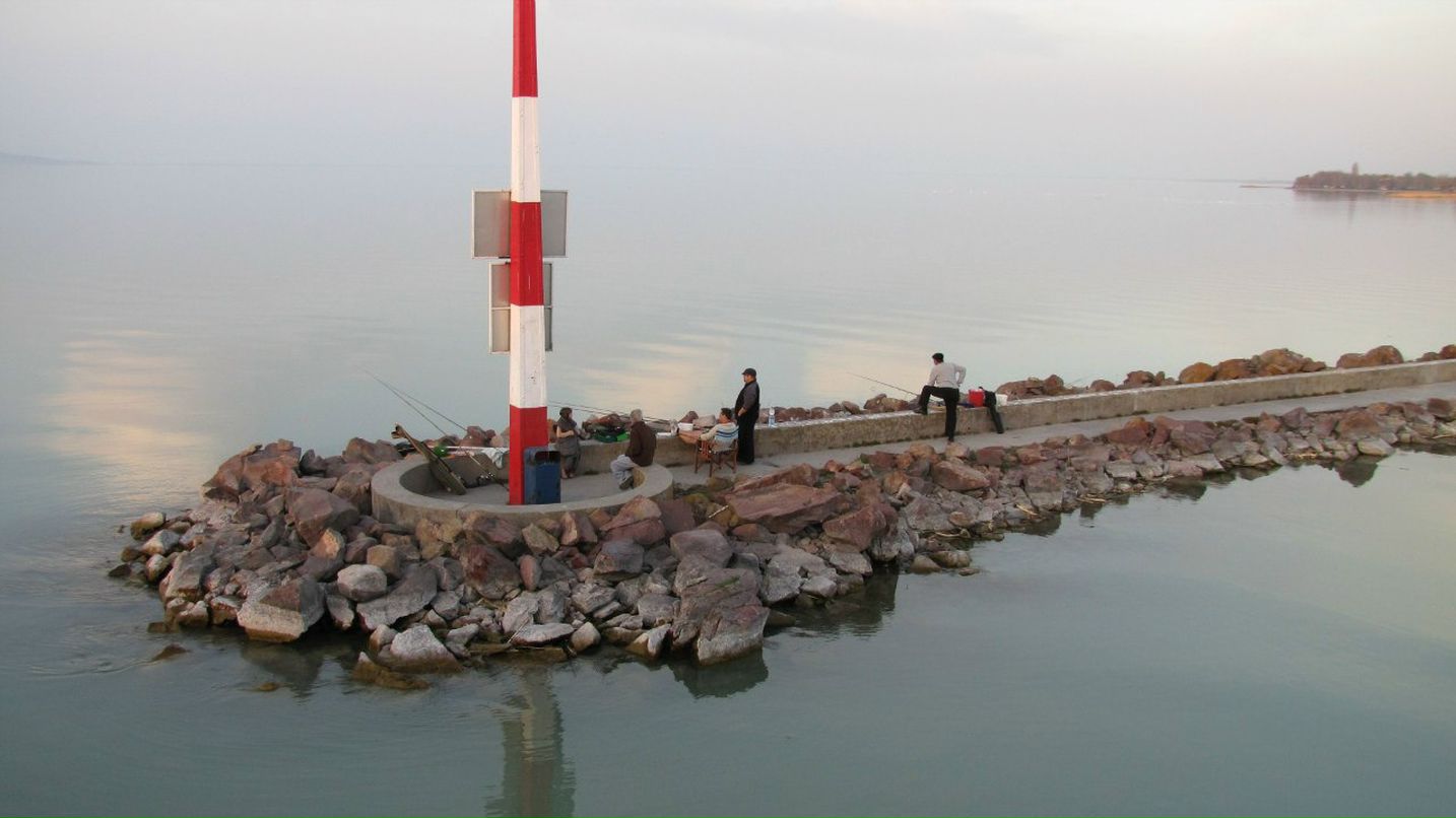 Дмитрий Новоселов | Санкт-Петербург